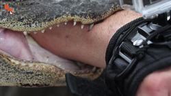 ANIMALS BITE ME...a lot. Instructional Video