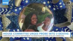 House Democrats Seek Investigations Into Deaths Of 3 Black Americans News Clip