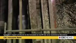 Canadian copper exports added to targets of Trump tariffs News Clip