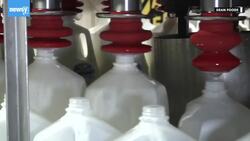 America's Biggest Milk Producer Has Filed For Bankruptcy News Clip