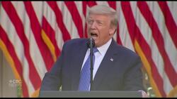 Trump demands tougher crackdowns on protests News Clip