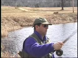 Using Light: Polarized Light Instructional Video