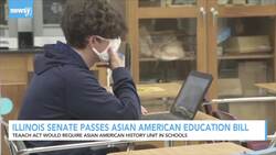 Illinois Senate Passes Asian American Education Bill News Clip