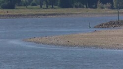 CLEAN : Low Rhine deepens Germany's energy crisis News Clip