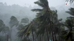 The Disease Detectives Stop Outbreaks at Their Source Instructional Video