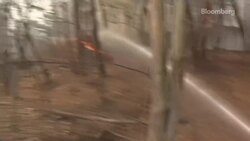 Wildfires in South Korea Burn Thousands of Acres News Clip