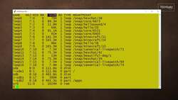 How to use the lsblk command: 2-Minute Linux Tip Instructional Video