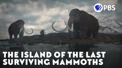 The Island of the Last Surviving Mammoths Instructional Video