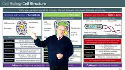 Comparing and Contrasting Eukaryotic, Prokaryotic, and Plant Cells Instructional Video