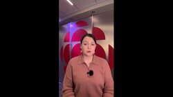 Sask. man who abducted daughter to avoid COVID vaccine gets 1-year sentence News Clip