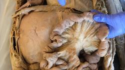 What Alcohol Does to Your Body Instructional Video