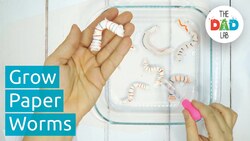 Paper Worms Science Activity for Halloween Instructional Video