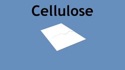 Natural Polymers Instructional Video