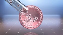 Scientists create monkey chimera with human cells Instructional Video