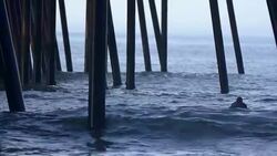 Pismo Beach Pier Stock Footage