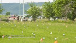 Ottawa to keep flags raised after Remembrance Day News Clip