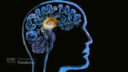 How to cope with prolonged isolation due to COVID-19 News Clip