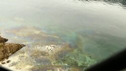 Diesel spill in B.C. lake contaminates fish farm, surrounding waters News Clip