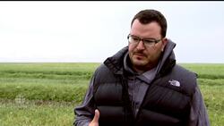 Canadian Canola Exports Facing Chinese Restrictions News Clip