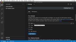 Complete Git Guide: Understand and Master Git and GitHub - Using a Pre-Commit Hook Instructional Video