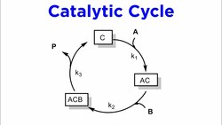 Principles of Homogeneous Catalysis Instructional Video