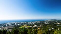 The History and Recipe of Kimchi Instructional Video