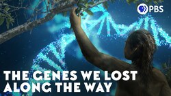 The Genes We Lost Along the Way Instructional Video
