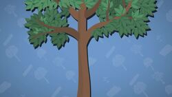 High Five Facts - Deforestation Instructional Video