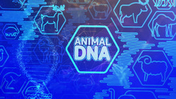 Animals and Toxins: Exploring the World of Venomous Creatures Instructional Video