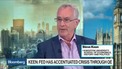 Steve Keen Says U.S. Heading for 2020 Recession News Clip