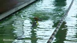 Fitness Brand Equinox Opens Luxury Hotel in NYC News Clip