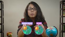 Planetary Plants Instructional Video