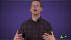 Why Can't You Compost Meat? Instructional Video