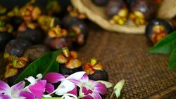 Top view of fresh delicious harvested mangosteens on wooden table. Thai organic purple fruit in the basket. Exotic natural blurred background with tropical flower. Healthy food and eating concept. Stock Footage
