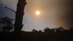 Almost 100 wildfires rage on across Eastern Australia News Clip