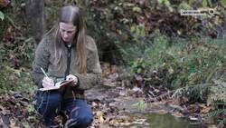 How a 'Clean Coal' Mogul Became Big Coal's Fall Guy News Clip