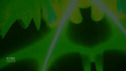 Dome show Trust the Universe: The Philosophy of Alan Watts sells out in Edmonton News Clip