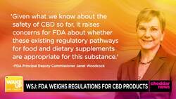 FDA Reportedly to Weigh CBD Regulations News Clip