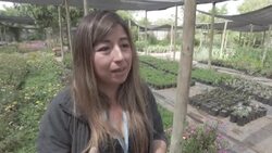 VOICED : El barrio más pobre de Santiago se torna modelo de reciclaje en Chile News Clip