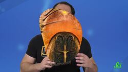 Do You Need a Brain to Sleep? Instructional Video