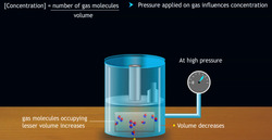 Reactions involving Gases Instructional Video