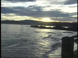 Water: Marine Biomes Instructional Video