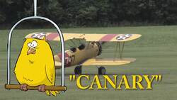 Amelia Earhart’s Journey into Aviation Instructional Video