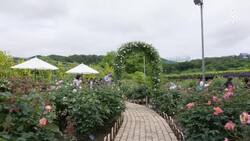 Ashikaga Flower Park, A Wisteria Wonderland in Japan Instructional Video