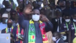 CLEAN : Football/AFCON: Ceremony at presidential palace for Senegal national football team News Clip