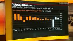 S. Africa Has No Choice But to Reform Economy: Nedbank CEO News Clip