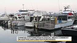 Wine, Beef Could Be Next in China-Australia Trade Thaw News Clip