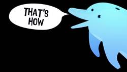 Whizpops! Dolphin Disco Music Video Instructional Video