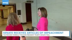 Articles Of Impeachment Arrived In The Senate. The Trial Comes Next. News Clip