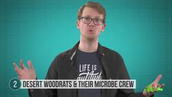 5 of the Coolest Partnerships Between Animals and Bacteria Instructional Video